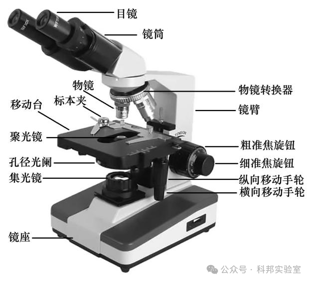 当育种遇上AI:种业有了“显微镜”和“智慧脑”(图1)