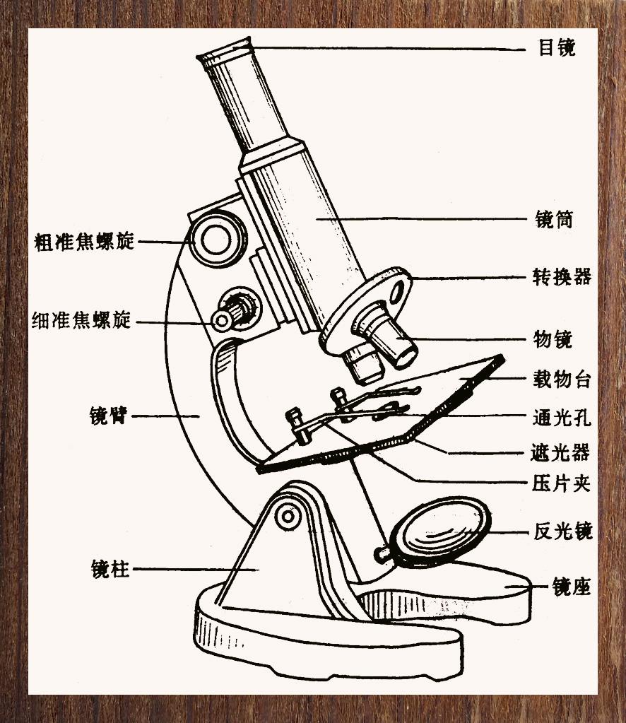 华泰柏瑞生物医药混合A(图1)